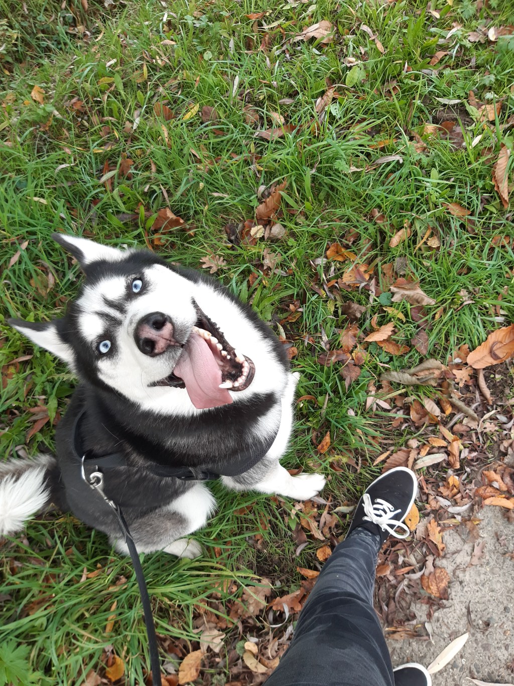 Liefde is: jezelf soms belachelijk&nbsp;maken